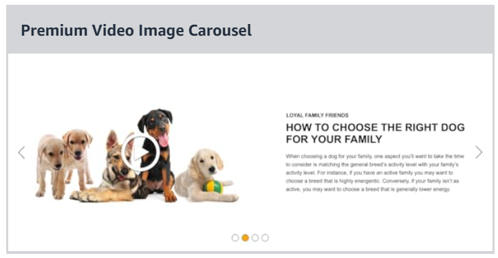 premium video carousel