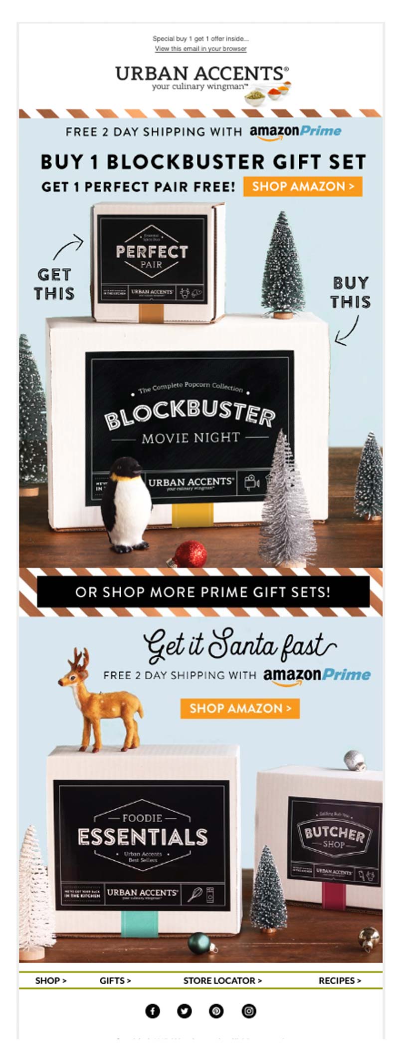 This email campaign had the witty subject line "Procrastinators - Amazon to the rescue!" to help customers discern deadlines for last orders.
