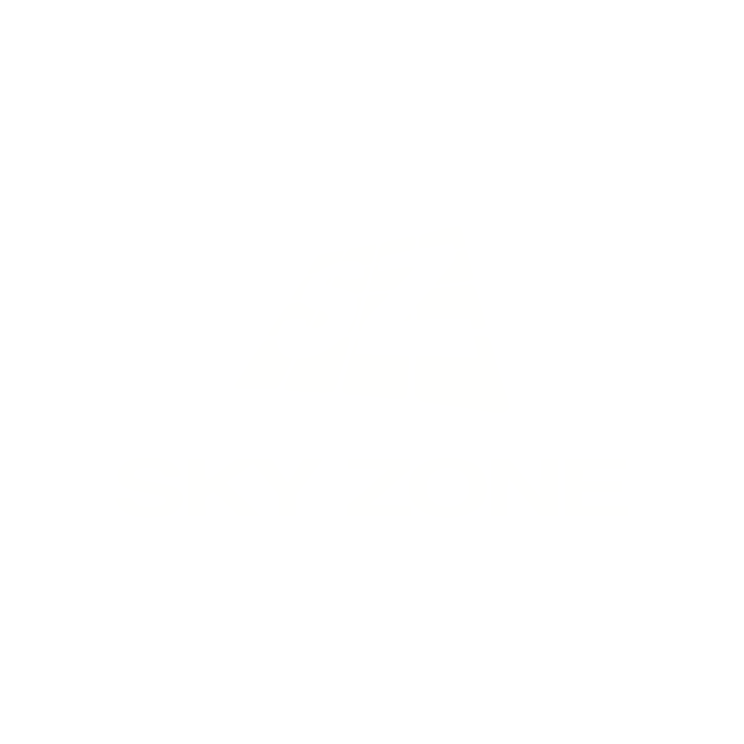 sky zone