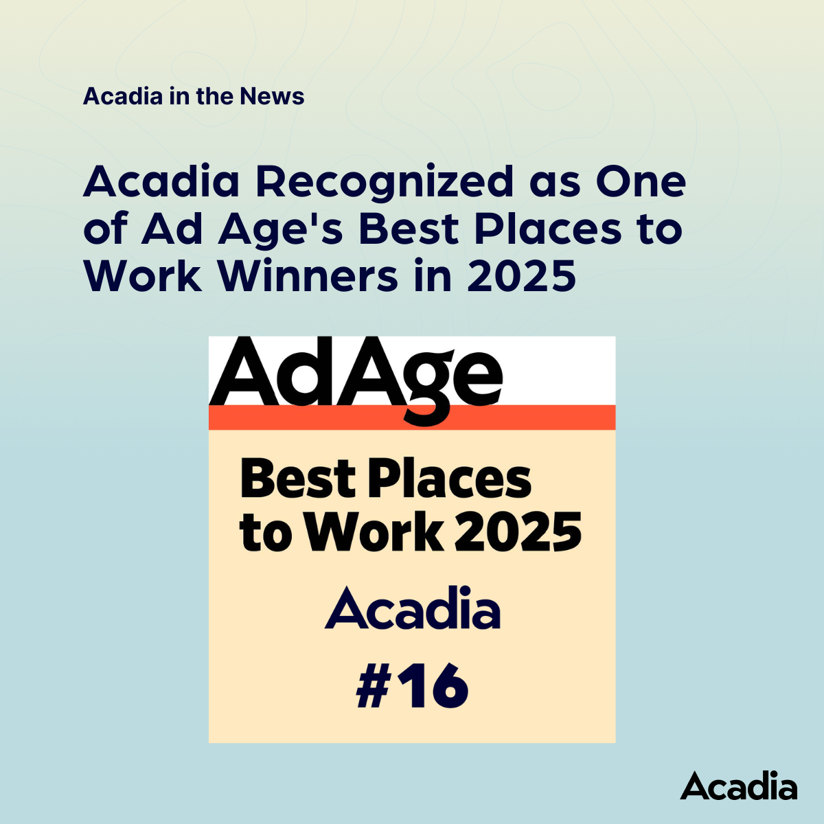 Acadia: Modern Digital Agency