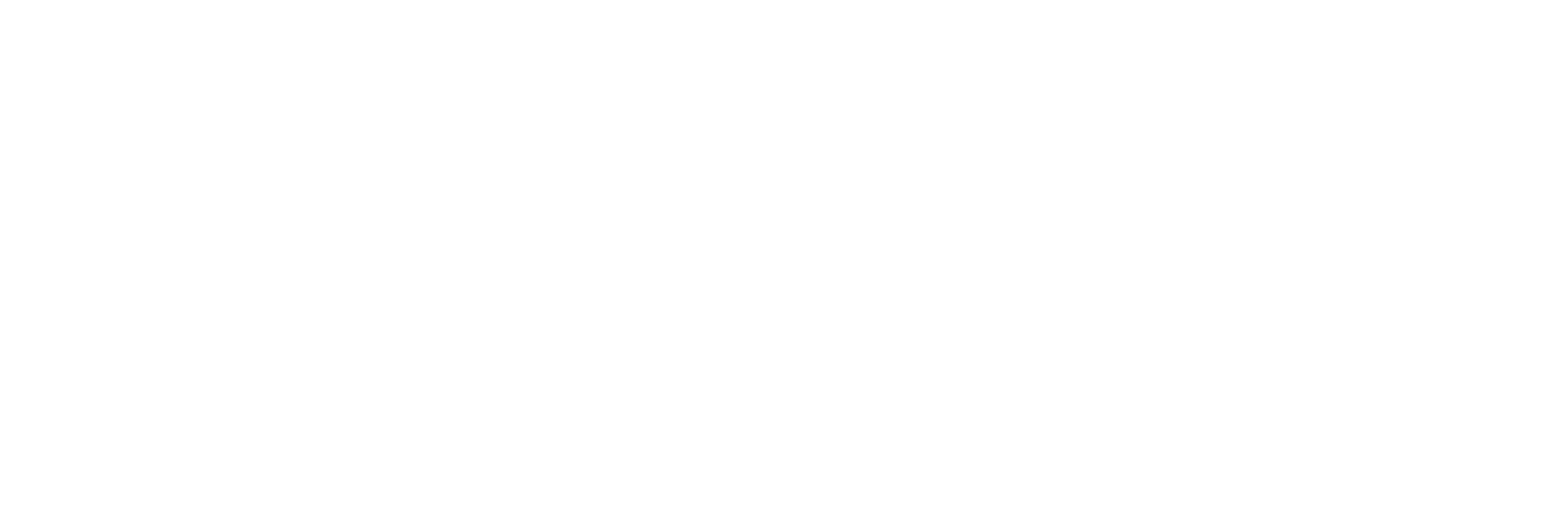 PacvueLogo_OneColor-White